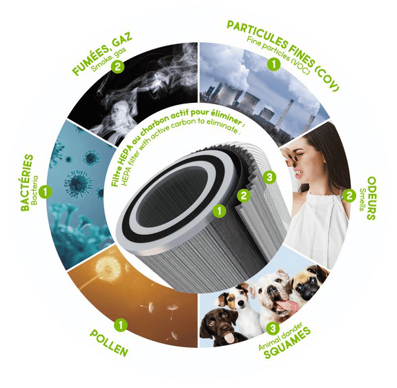 Filtre Hepa 13 du Purificateur d'air - Air Purifier - Detoximix