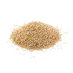 Quinoa