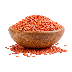 Lentilles corail