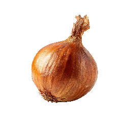 oignon