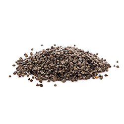 Graines de chia